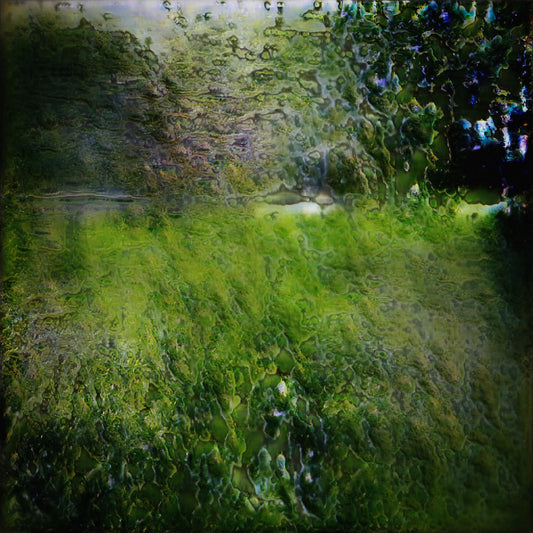 Joyful visible surroundings #01