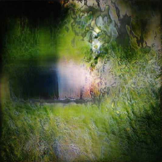 Joyful visible surroundings #05