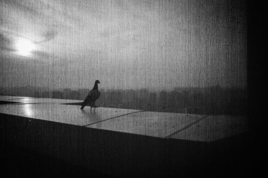 Beijing (Near the Edge)