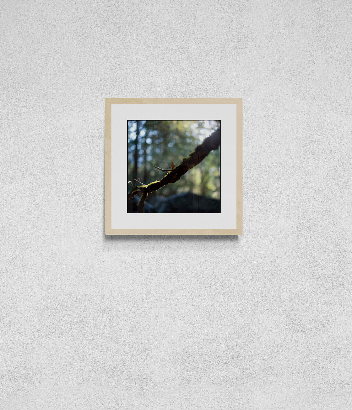 The Bear On A Branch (30x30cm)