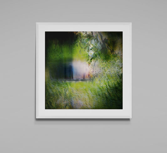 Joyful visible surroundings #05