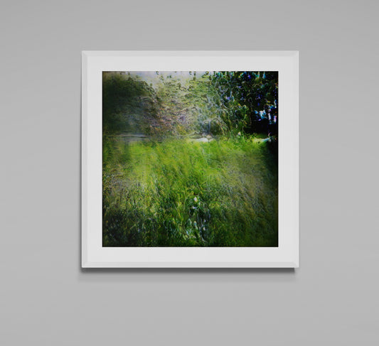 Joyful visible surroundings #01