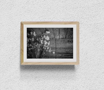 New York City (Plant Life)