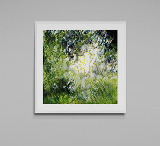 Joyful visible surroundings  #07