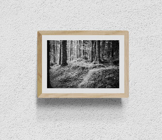 GarmischPatenkirchen (Wald)