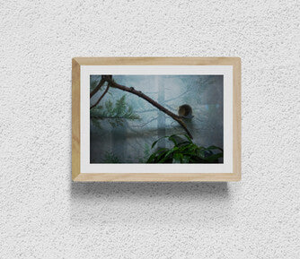 Brooklyn (Artificial Forest)