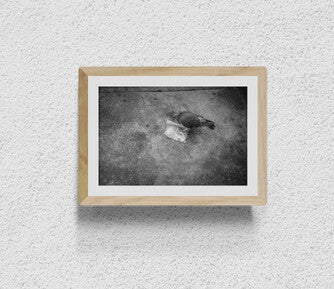 Brooklyn (Bird Food)