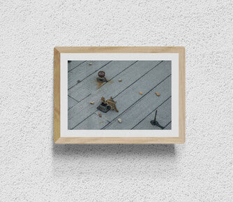 Brooklyn (Discoverers)