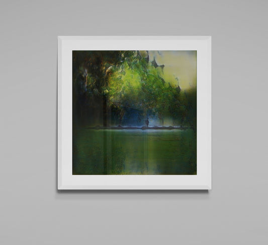 Joyful visible surroundings #04