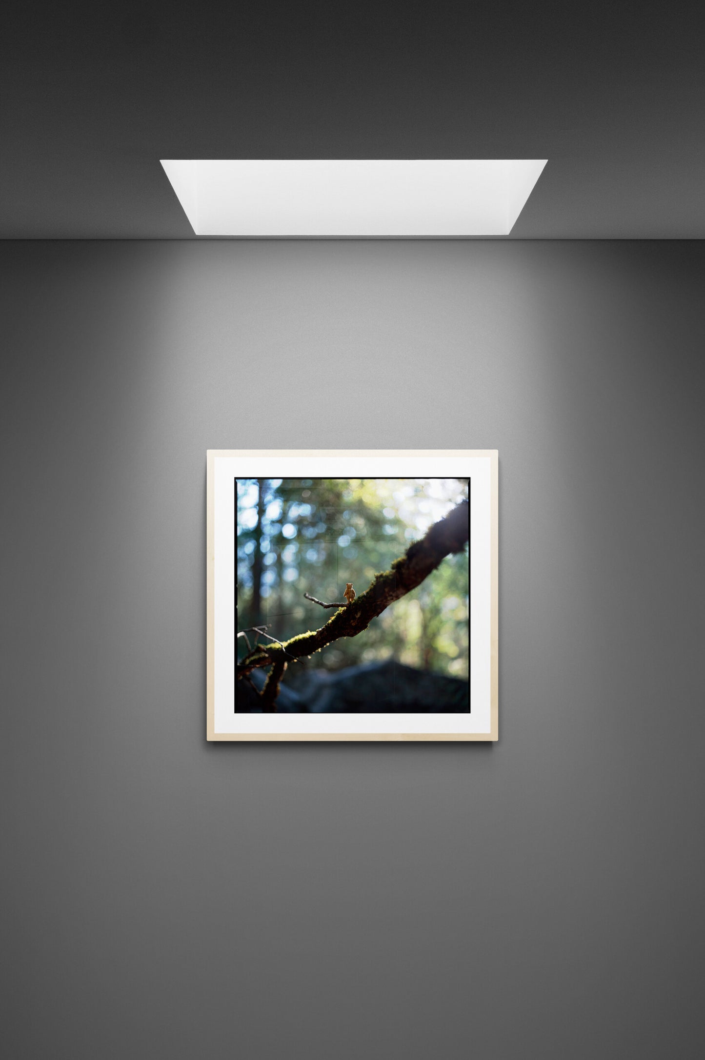 The Bear On A Branch (60x60cm)