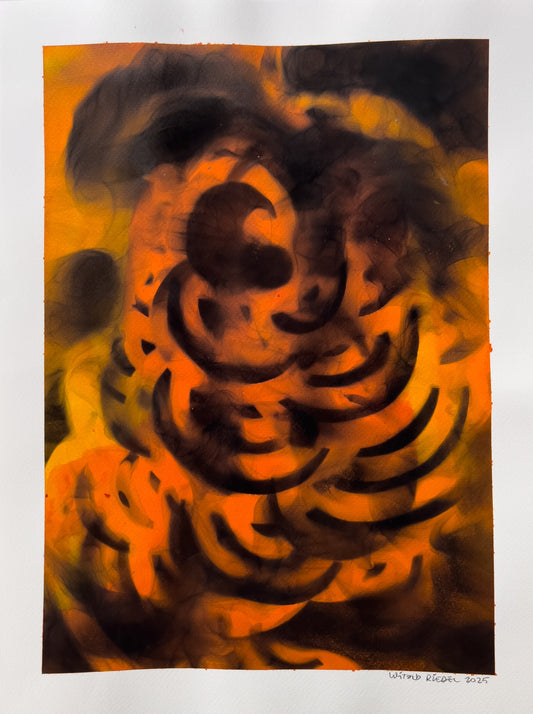 Smoke-Particle Photogram Drawing 008