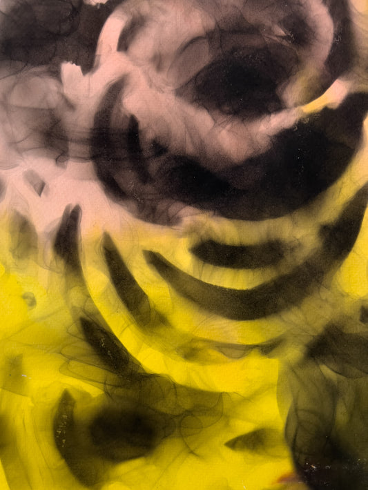 Smoke-Particle Photogram Drawing 009